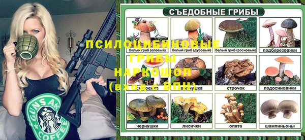 хмурый Алексеевка